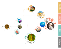 1.1. BIOMINERALIZATION & EVOLUTION: Homology of Mineralized Tissue and Convergent Evolution