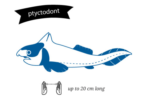 3.5. THE EVOLUTION OF THE MARINE PREDATORS