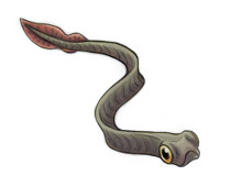 3.4. PRESSÃO PREDATÓRIA
