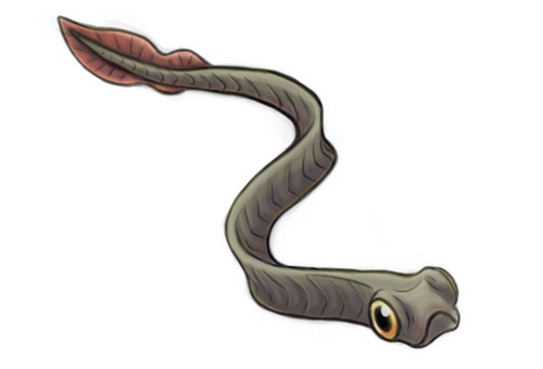 3.4. PREDATORY PRESSURE