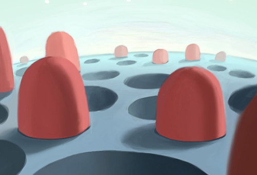 1.3. PROPOSED MODELS AND MECHANISMS FOR BIOMINERALIZATION