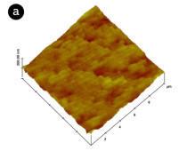 5.8 CONCHA DO MEXILHÃO-DOURADO: Microscopia de Força Atômica (MFA)