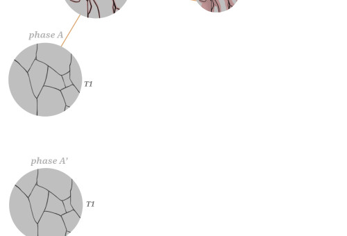 2.1.8 HETEROGENEOUS NUCLEATIO: Solid-Solid Transformation