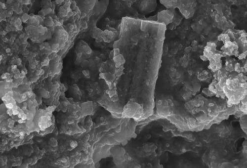 1.5. BIOMINERALS: The Importance of Surface and Impurities in Heterogeneous Nucleation