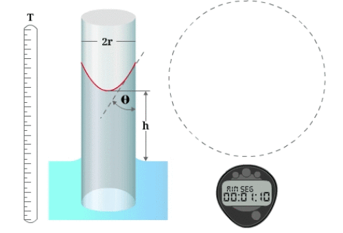 2.3.3 HOW MENISCI APPEAR IN TUBES?
